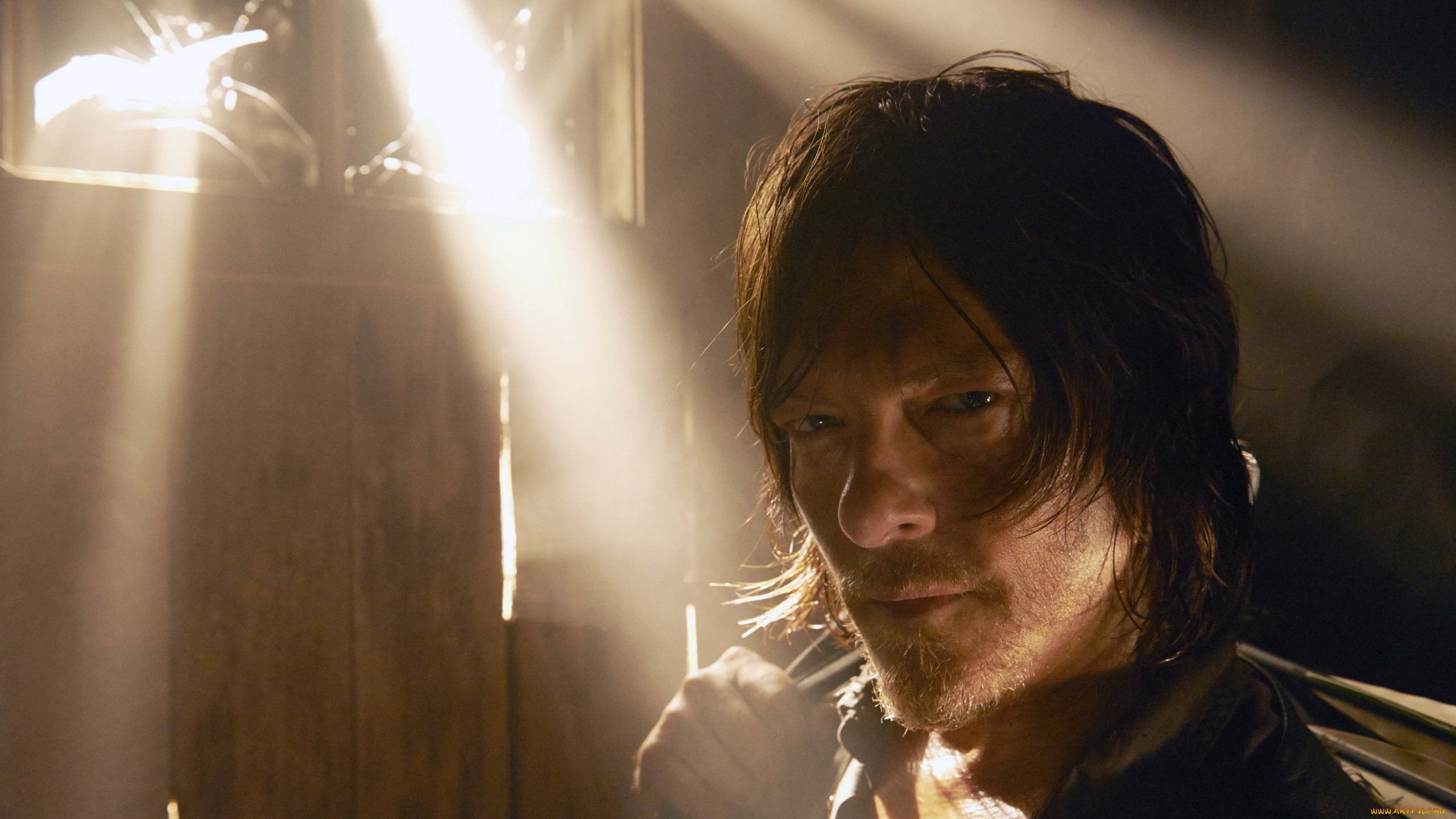  , the walking dead, norman, reedus, daryl